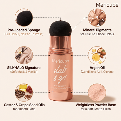 Dab & Go Hair Concealer